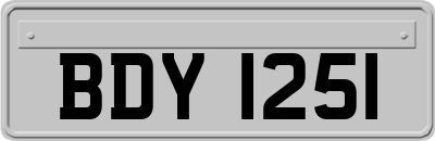 BDY1251