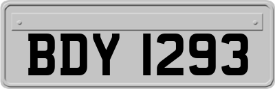 BDY1293