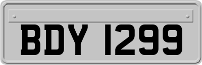 BDY1299