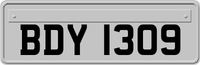 BDY1309