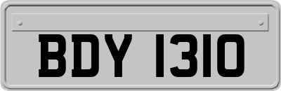 BDY1310