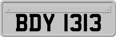 BDY1313