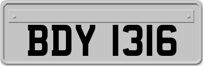 BDY1316