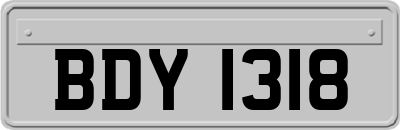 BDY1318