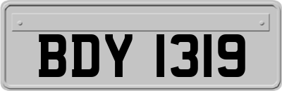 BDY1319