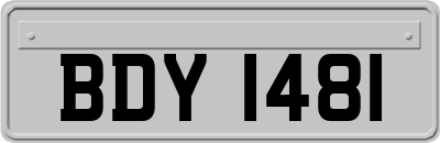 BDY1481