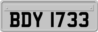 BDY1733