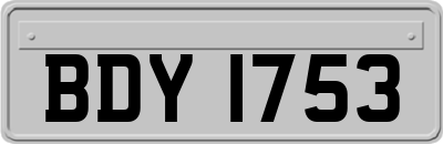 BDY1753