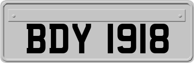 BDY1918