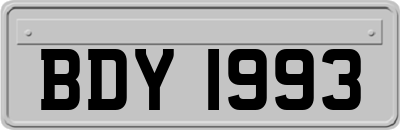 BDY1993