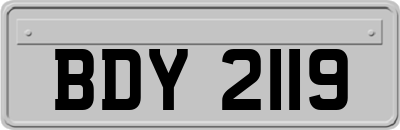 BDY2119