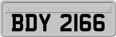 BDY2166