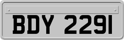 BDY2291