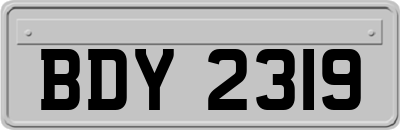 BDY2319