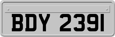 BDY2391