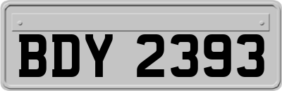 BDY2393
