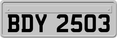 BDY2503