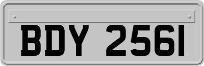 BDY2561