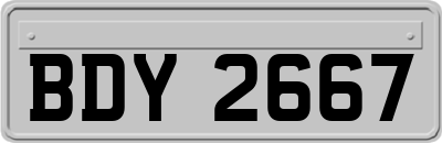 BDY2667