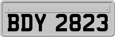 BDY2823