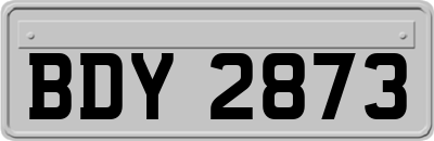 BDY2873