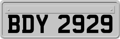 BDY2929