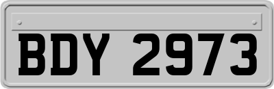 BDY2973