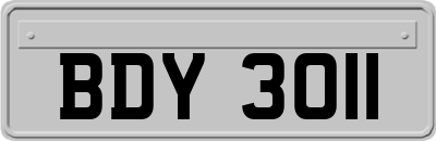 BDY3011