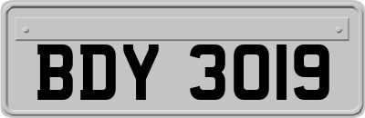 BDY3019