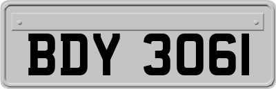 BDY3061