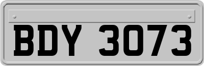 BDY3073