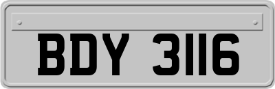 BDY3116