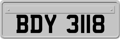 BDY3118