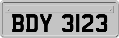 BDY3123