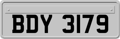 BDY3179