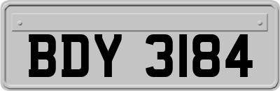 BDY3184