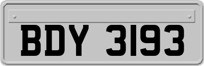 BDY3193