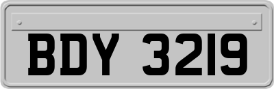 BDY3219