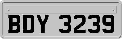 BDY3239