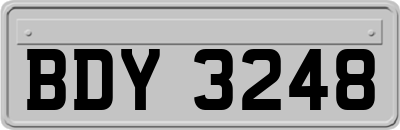 BDY3248