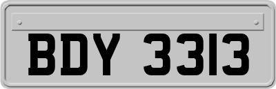 BDY3313