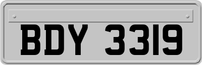 BDY3319
