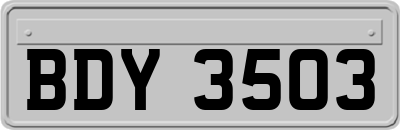 BDY3503