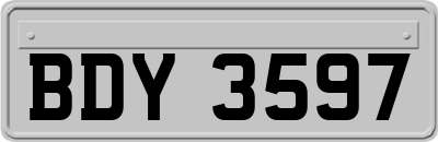 BDY3597