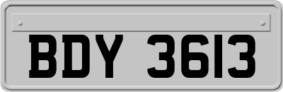 BDY3613