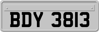 BDY3813