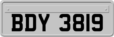 BDY3819