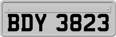 BDY3823