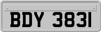 BDY3831