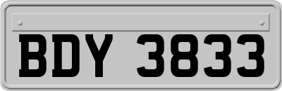 BDY3833